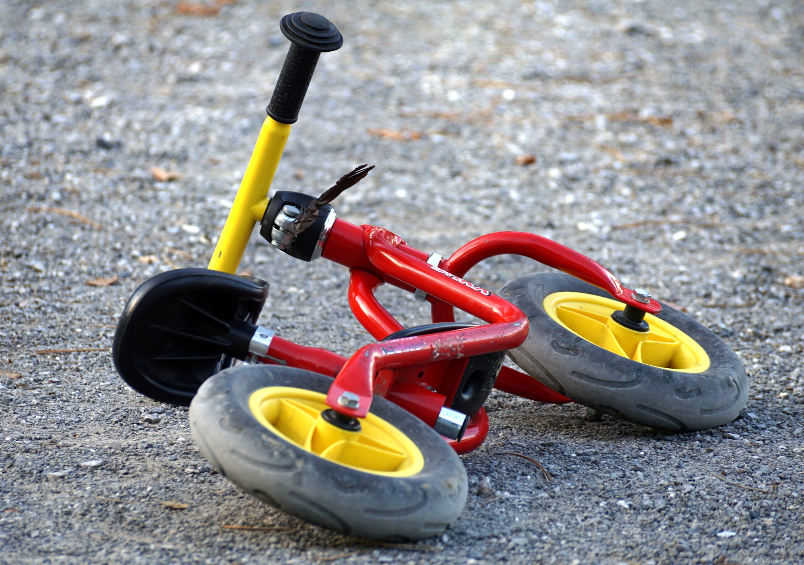 Home 165106 bicycle 2895424